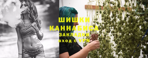 спайс Арсеньев