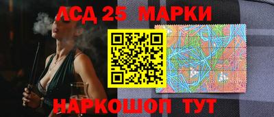 стаф Кулебаки
